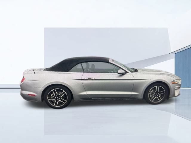 Certified 2021 Ford Mustang EcoBoost w/ Equipment Group 101A image 10