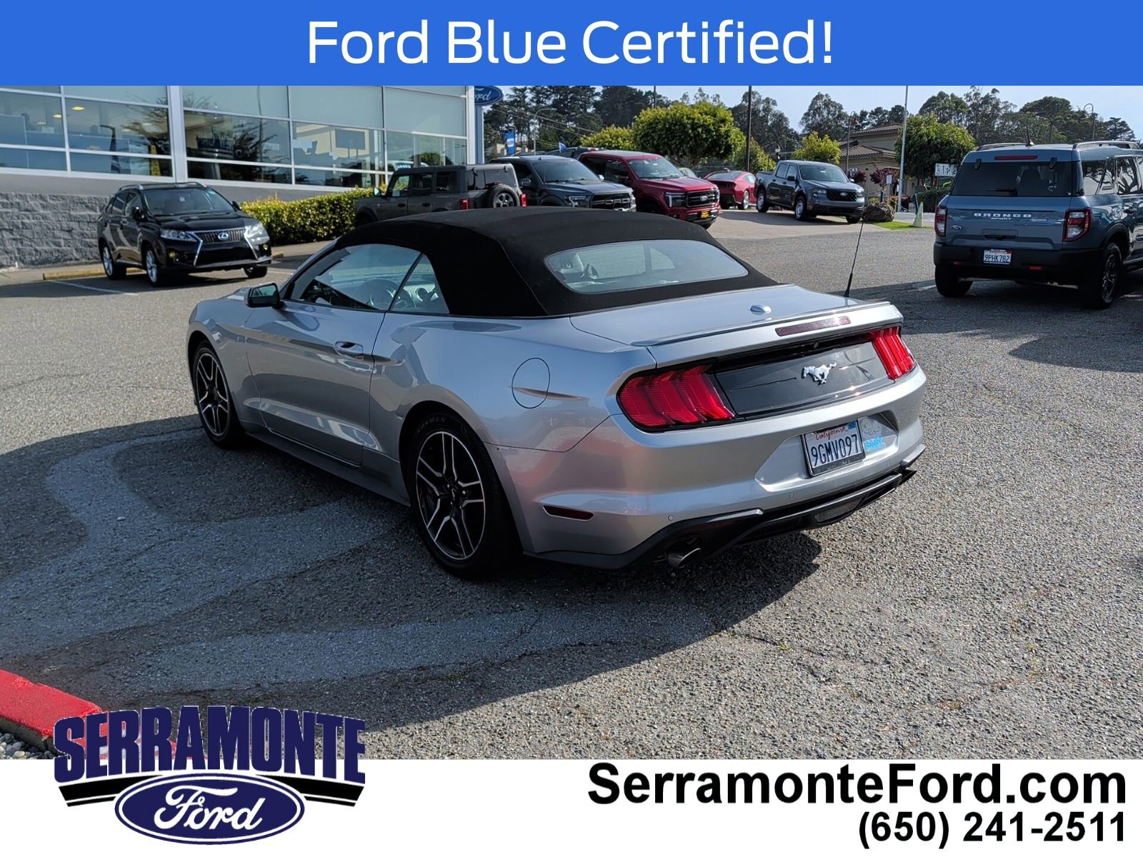 Certified 2021 Ford Mustang Premium image 4