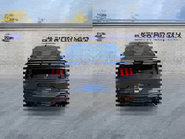 Certified 2024 Ford Mustang Dark Horse image 14