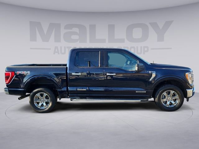 Certified 2022 Ford F150 XLT w/ Equipment Group 302A High image 6