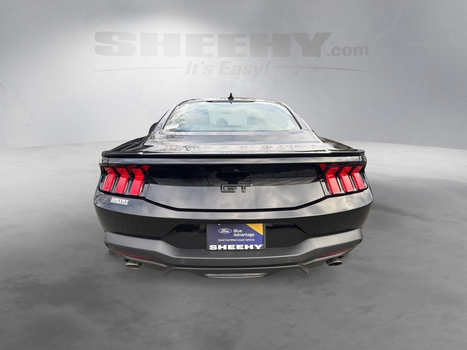 Certified 2025 Ford Mustang GT Premium w/ Mustang Nite Pony Package image 13