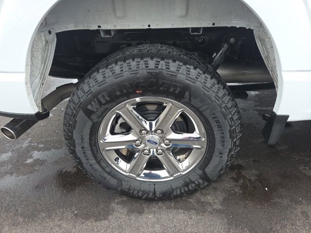 Certified 2025 Ford F150 XLT w/ Equipment Group 301A Standard image 11