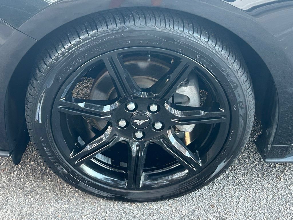 Certified 2019 Ford Mustang Premium w/ Equipment Group 201A RWD image 17