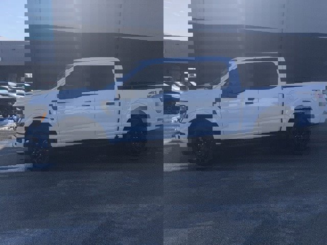 Certified 2024 Ford F150 STX w/ STX Black Appearance Package image 3