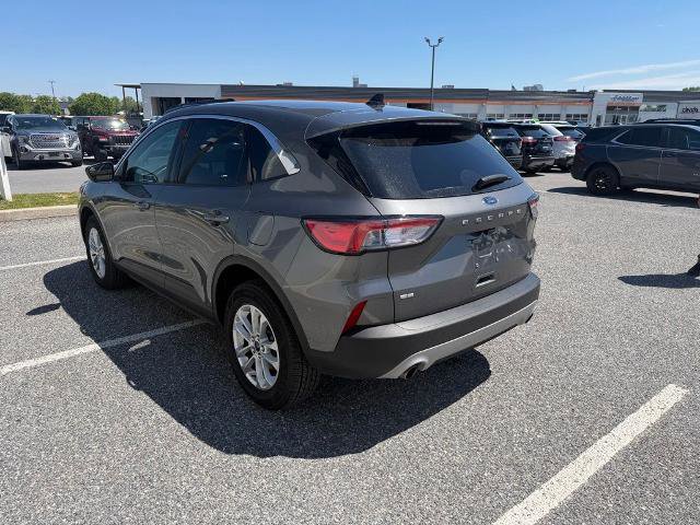 Certified 2022 Ford Escape SE w/ Convenience Package AWD/4WD image 6