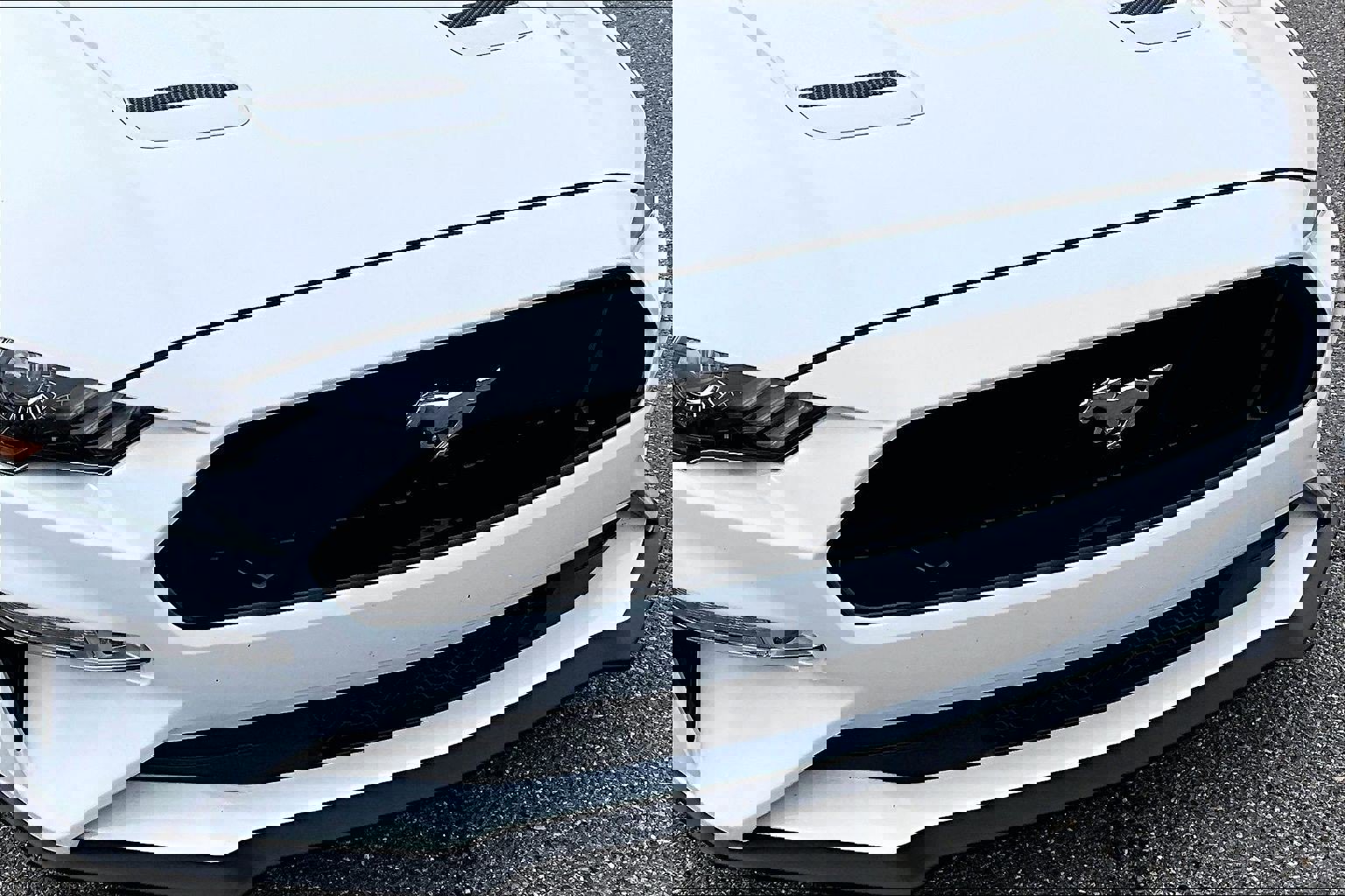 Certified 2023 Ford Mustang GT w/ Equipment Group 301A image 28