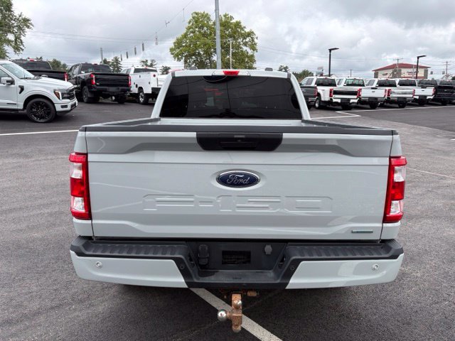 Certified 2023 Ford F150 XL w/ STX Appearance Package AWD/4WD image 4