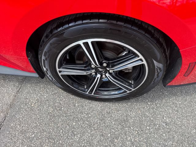 Certified 2024 Ford Mustang Premium RWD image 13