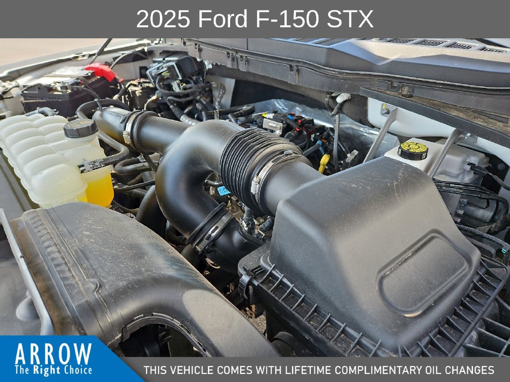 Certified 2025 Ford F150 STX w/ Equipment Group 200A RWD image 15