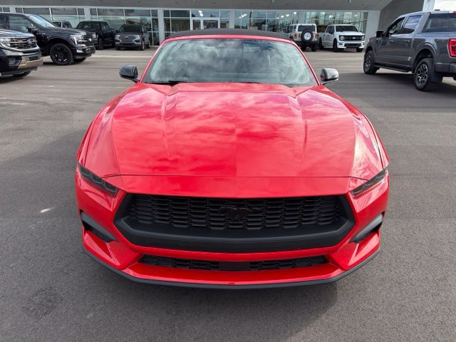 Certified 2026 Ford Mustang Premium RWD image 10