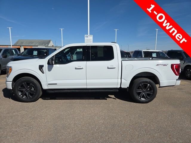 Certified 2023 Ford F150 XLT w/ Equipment Group 302A High AWD/4WD image 2