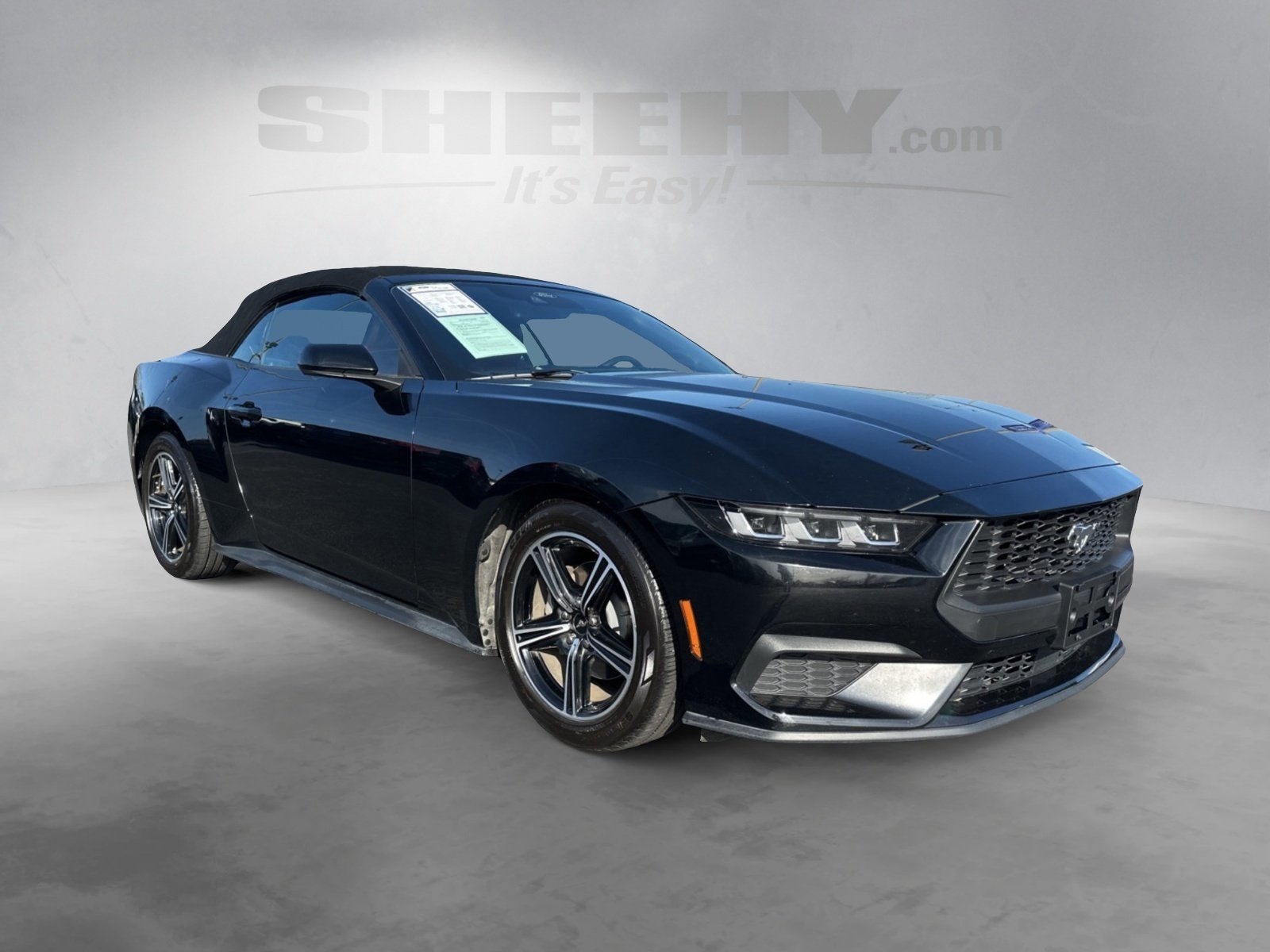 Certified 2024 Ford Mustang Premium image 9