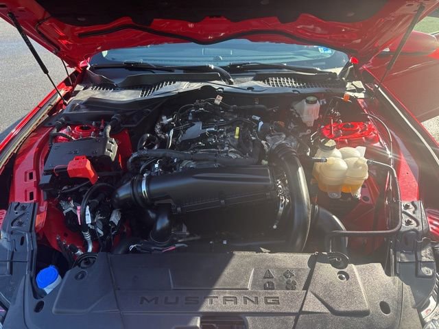Certified 2025 Ford Mustang Premium RWD image 23