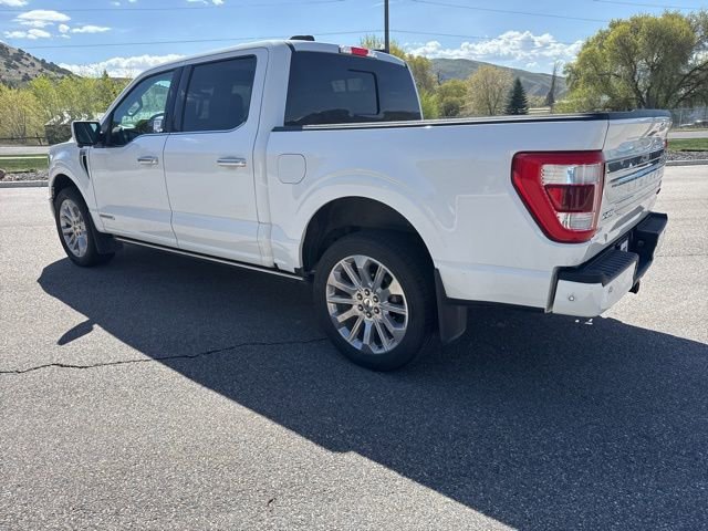 Certified 2023 Ford F150 Limited AWD/4WD image 4