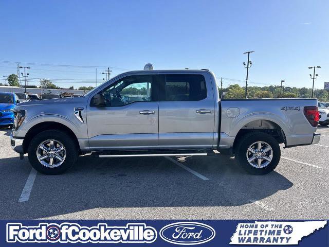 Certified 2025 Ford F150 XLT w/ Equipment Group 301A Standard AWD/4WD image 7