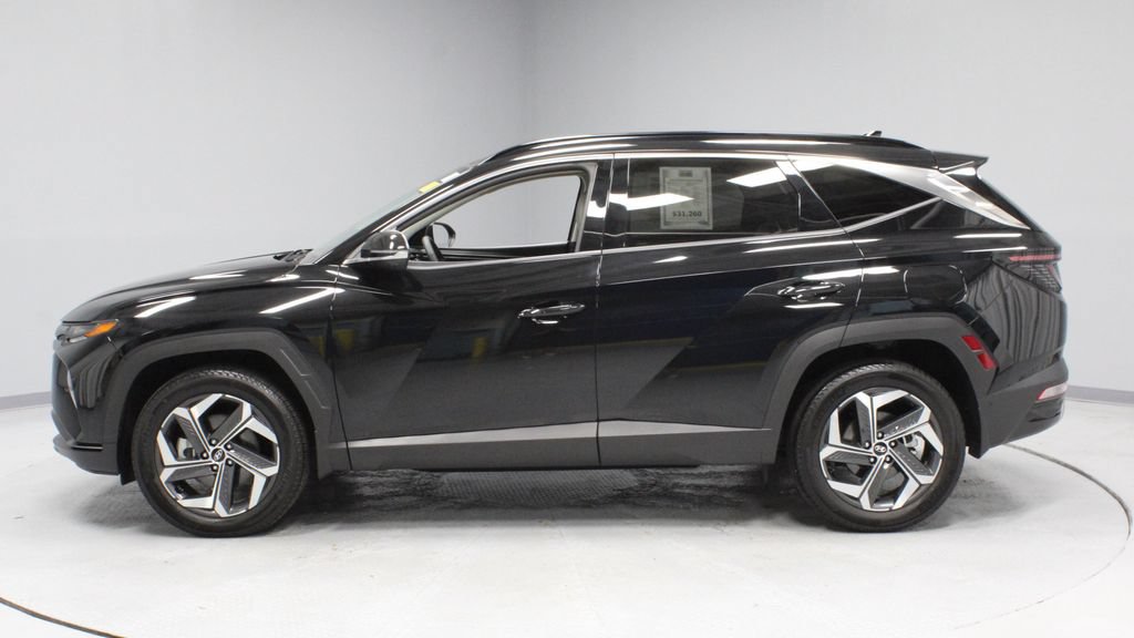 Used 2024 Hyundai Tucson Limited AWD/4WD image 9