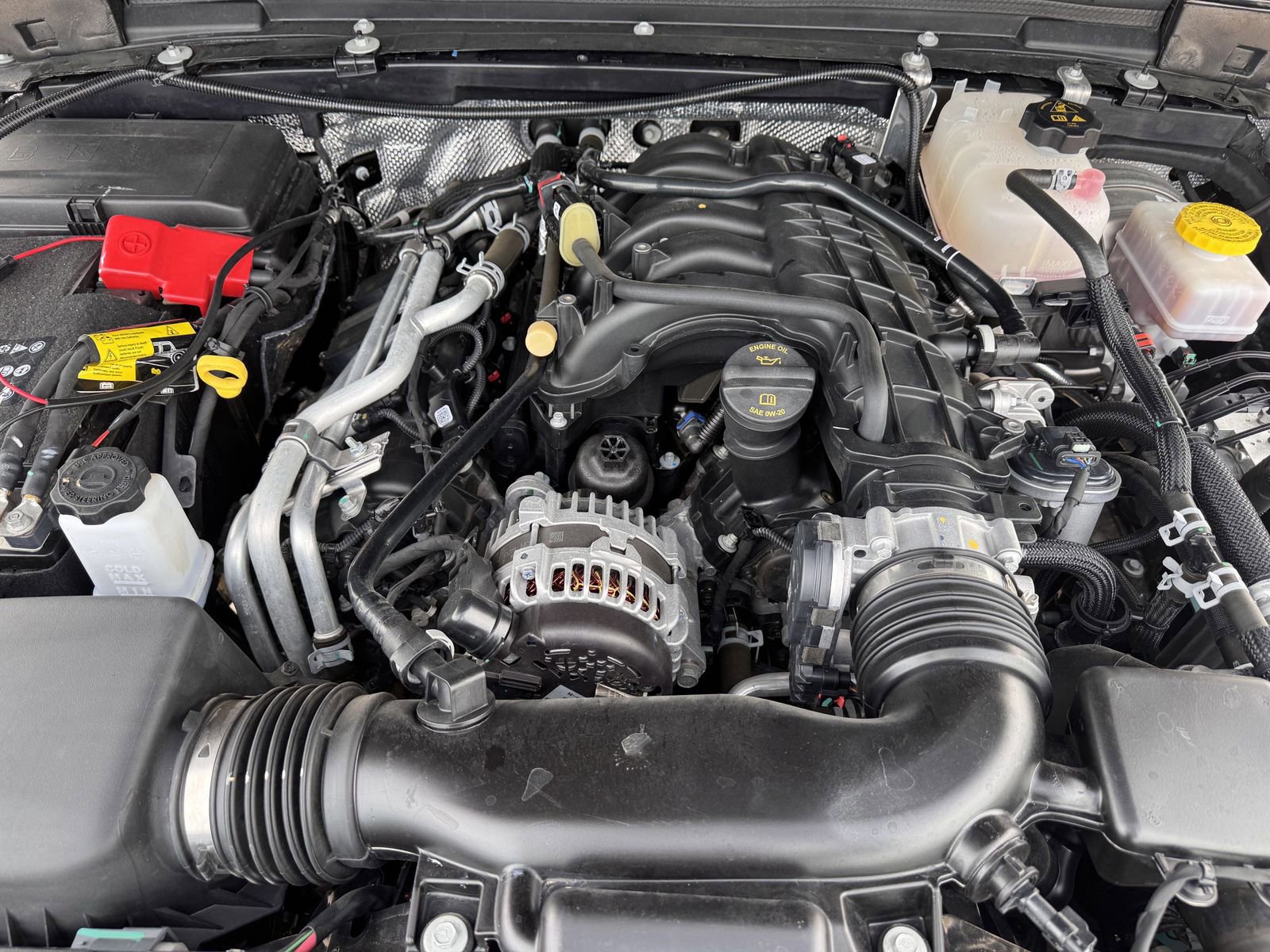 Used 2024 Jeep Wrangler Sahara w/ Safety Group image 30