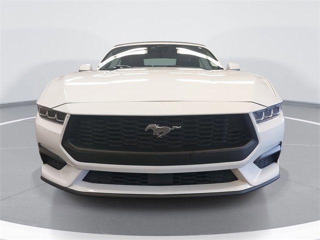 Certified 2024 Ford Mustang Premium image 8