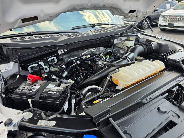 Certified 2022 Ford F150 XL w/ STX Appearance Package RWD image 14