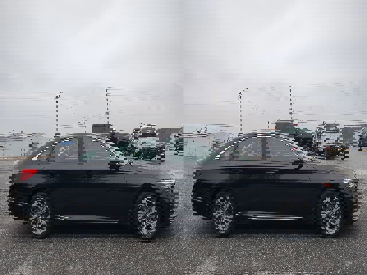 Used 2020 Honda Accord EX-L image 6