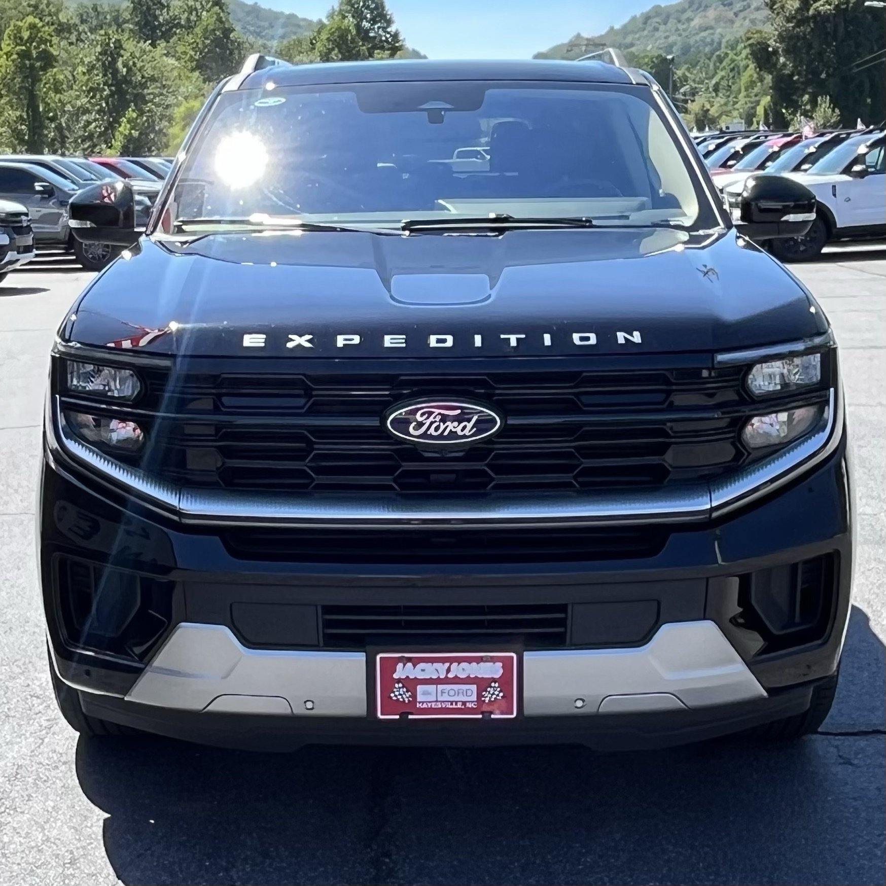 Certified 2025 Ford Expedition Max Platinum w/ Platinum Ultimate Package AWD/4WD image 3