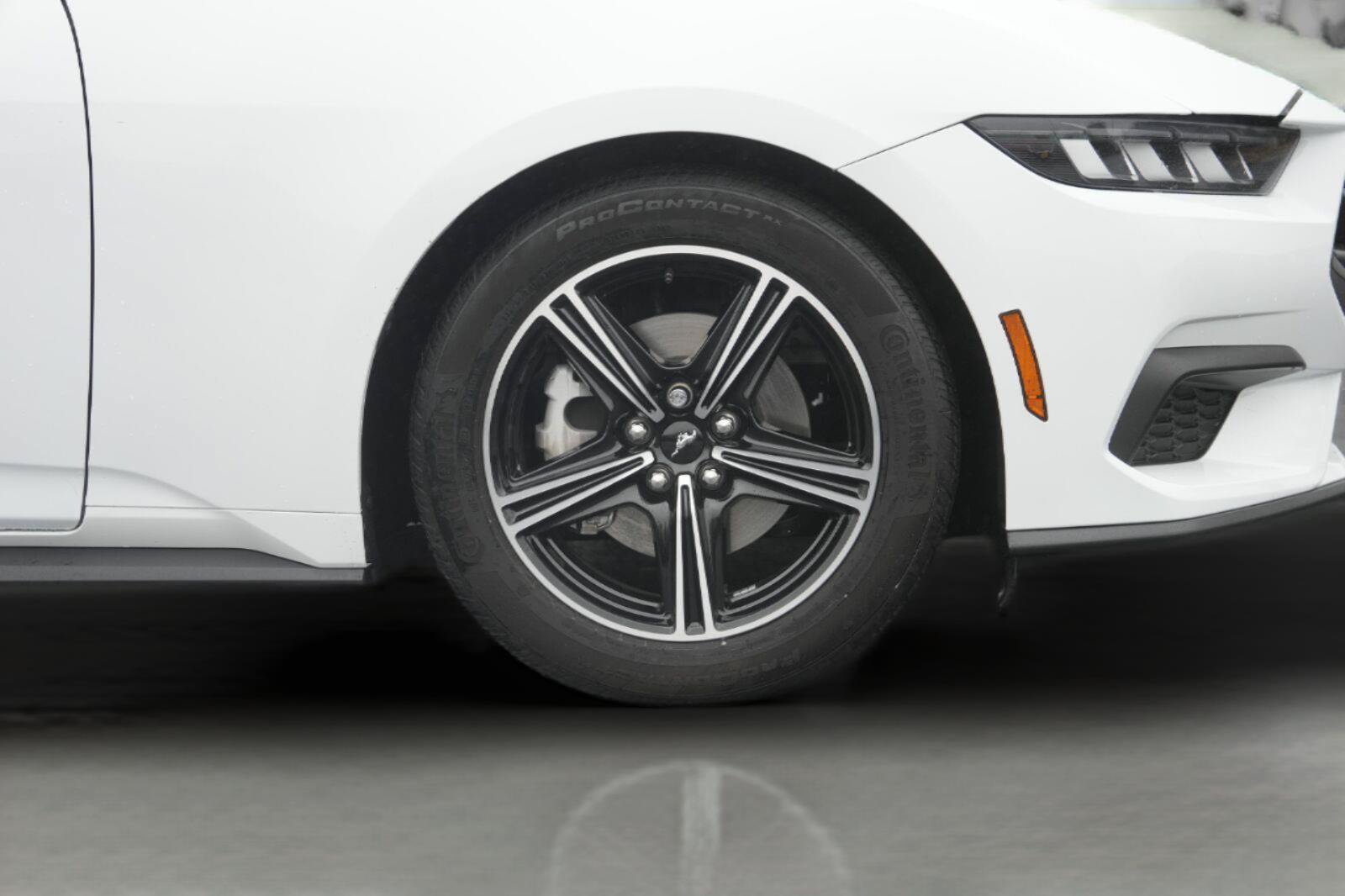 Certified 2024 Ford Mustang Premium RWD image 4