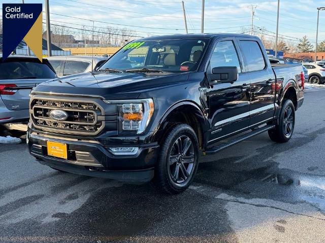 Certified 2023 Ford F150 XLT w/ Equipment Group 302A High