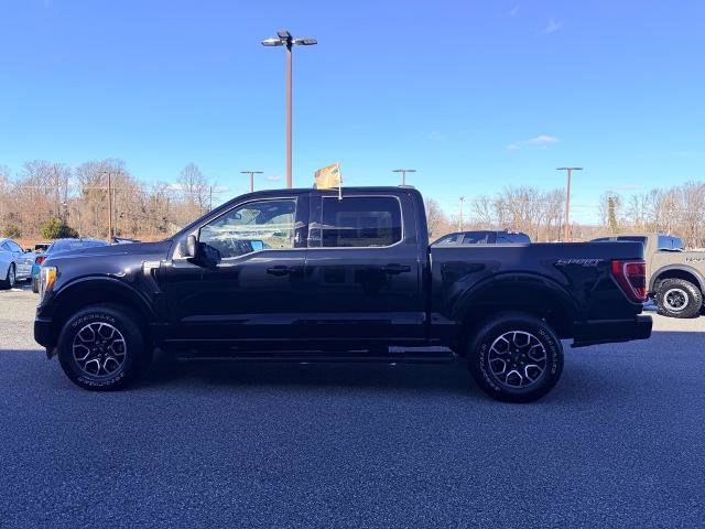 Certified 2023 Ford F150 XLT w/ Equipment Group 302A High image 7