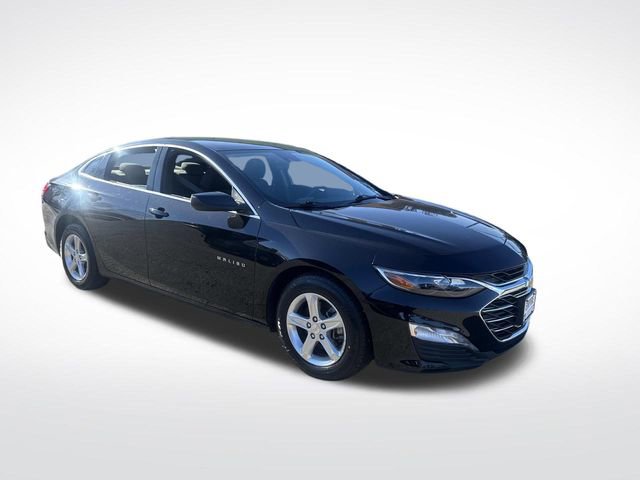 Used 2023 Chevrolet Malibu LT image 7