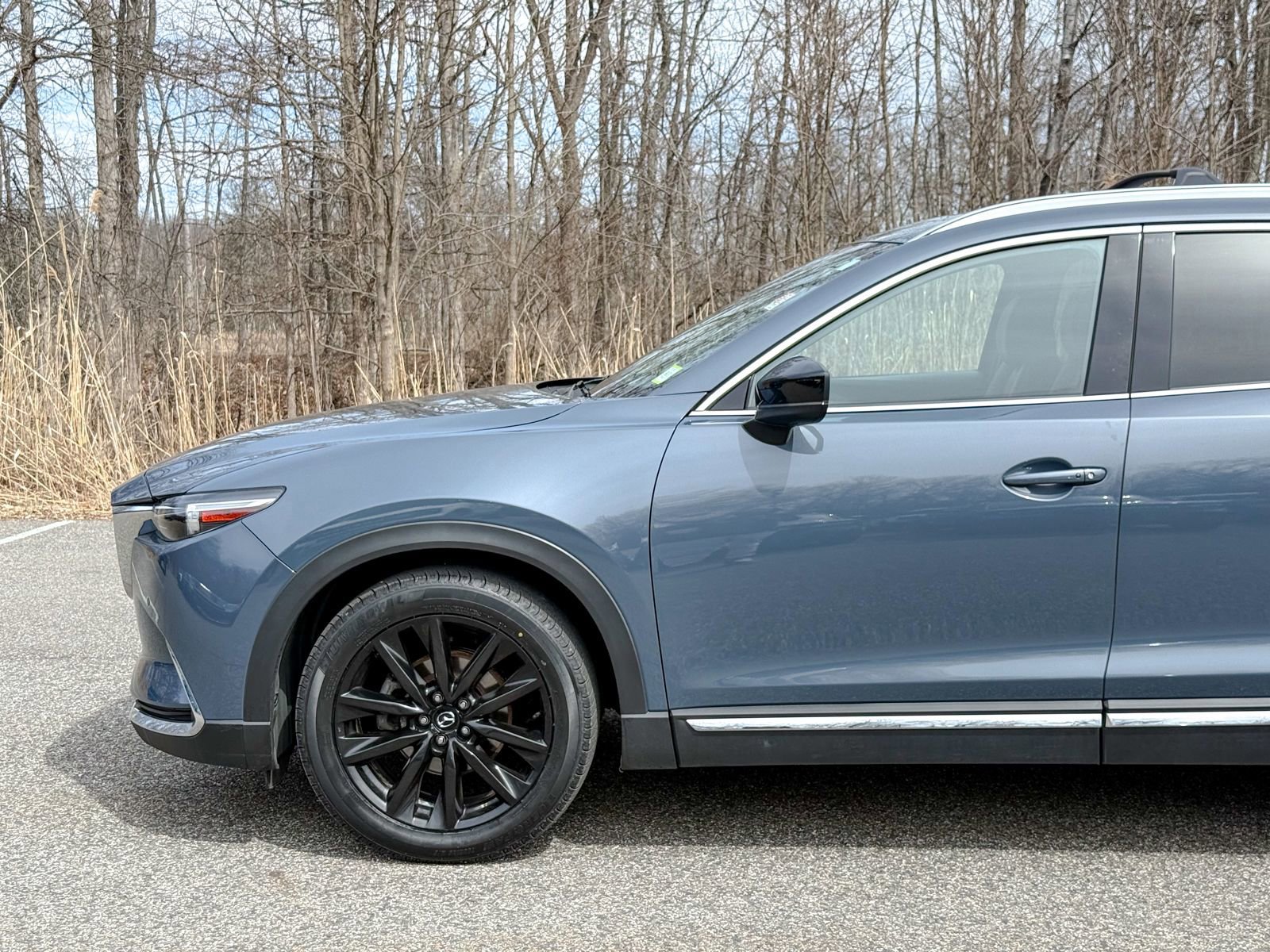 Used 2022 MAZDA CX-9 Carbon Edition image 10