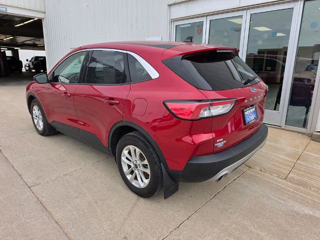 Certified 2022 Ford Escape SE w/ Cold Weather Package AWD/4WD image 4