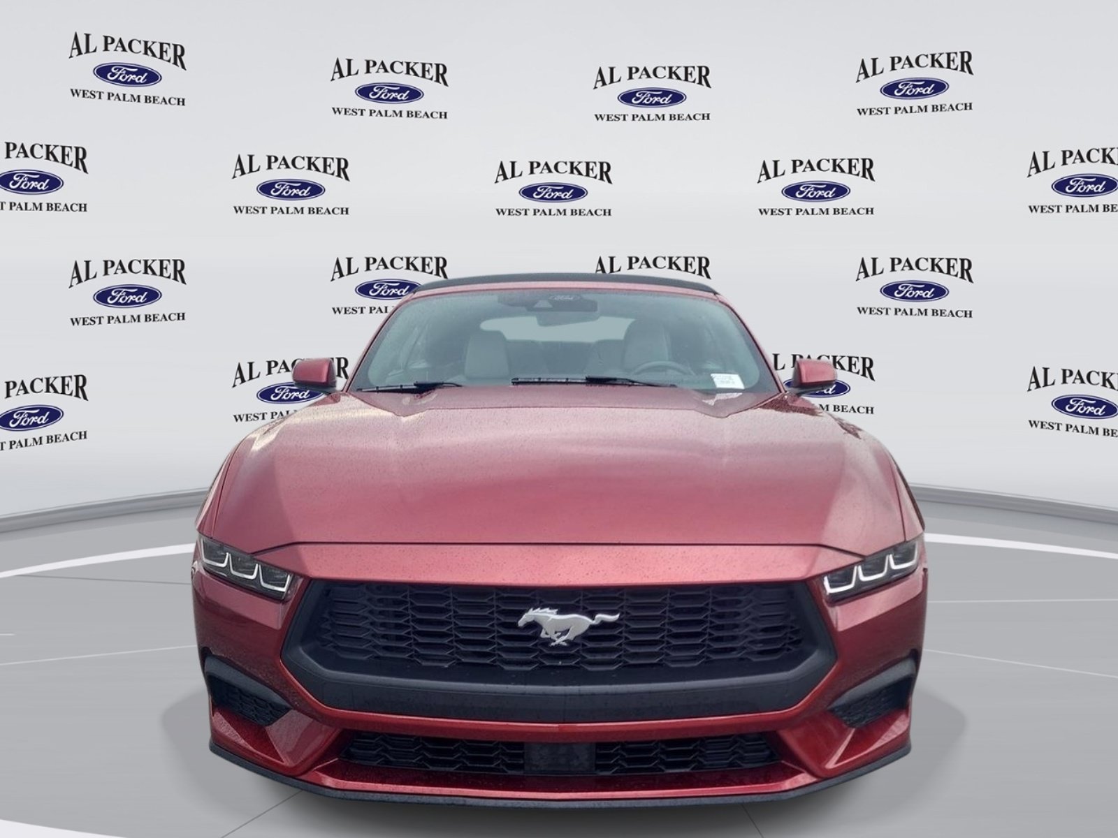 Certified 2024 Ford Mustang Premium RWD image 8