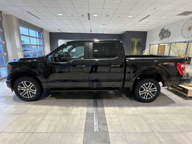 Certified 2023 Ford F150 XL w/ STX Appearance Package image 3