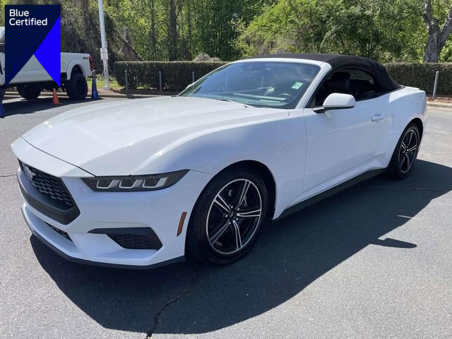 Certified 2024 Ford Mustang Premium image 1