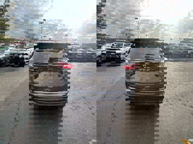 Certified 2024 Ford Edge Titanium image 4