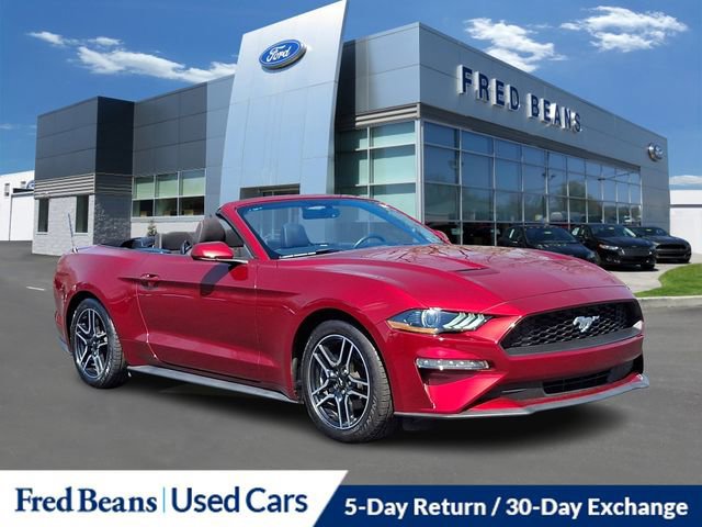 Certified 2019 Ford Mustang Convertible w/ Equipment Group 101A image 10