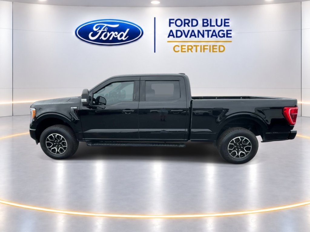 Certified 2023 Ford F150 XLT w/ Equipment Group 302A High AWD/4WD image 5