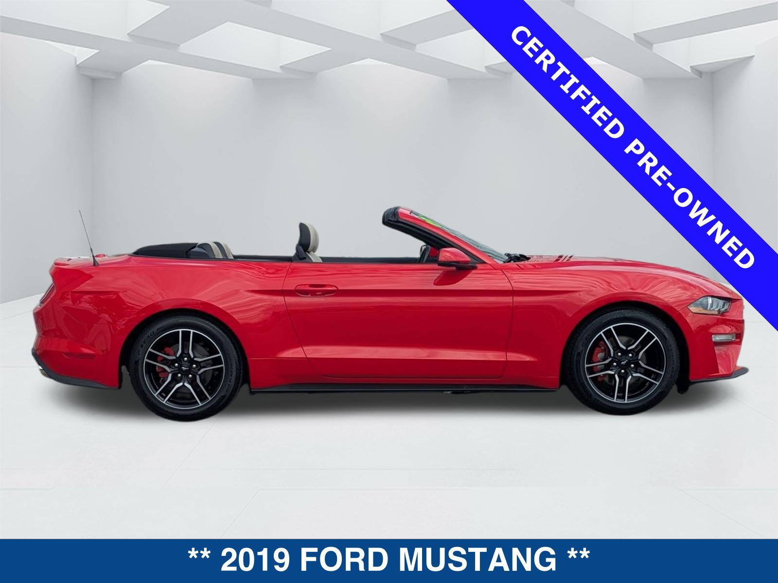 Certified 2019 Ford Mustang Premium RWD image 4