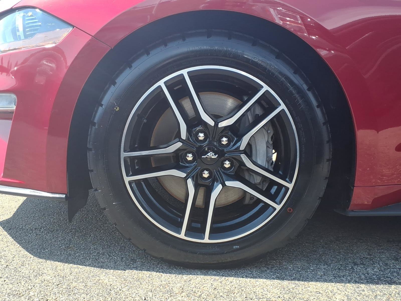 Certified 2021 Ford Mustang GT w/ Equipment Group 301A image 7