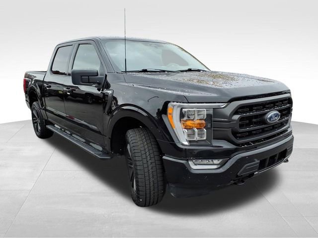 Certified 2022 Ford F150 XLT w/ Equipment Group 302A High image 8