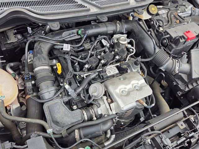 Certified 2021 Ford EcoSport SE w/ SE Convenience Package image 16