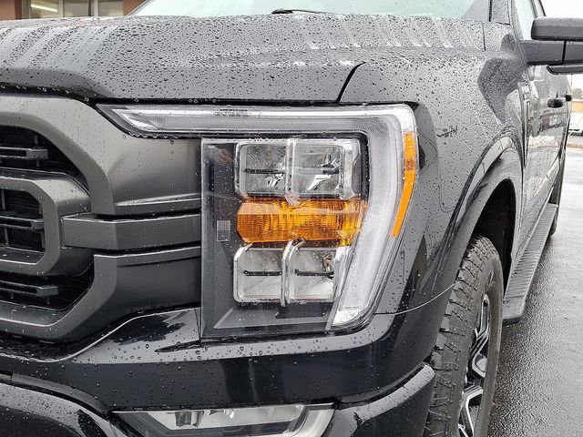 Certified 2023 Ford F150 XLT w/ Equipment Group 302A High image 8