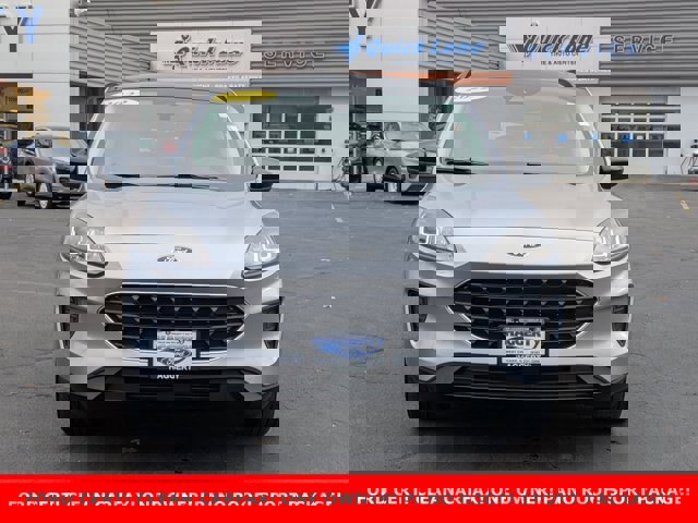 Certified 2022 Ford Escape SE w/ SE Sport Appearance Package image 2