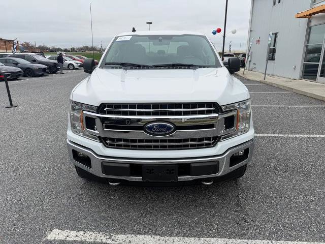 Certified 2019 Ford F150 XLT w/ Equipment Group 302A Luxury image 8