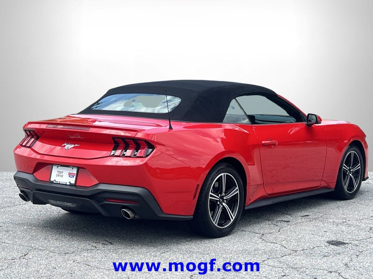 Certified 2024 Ford Mustang Premium RWD image 3