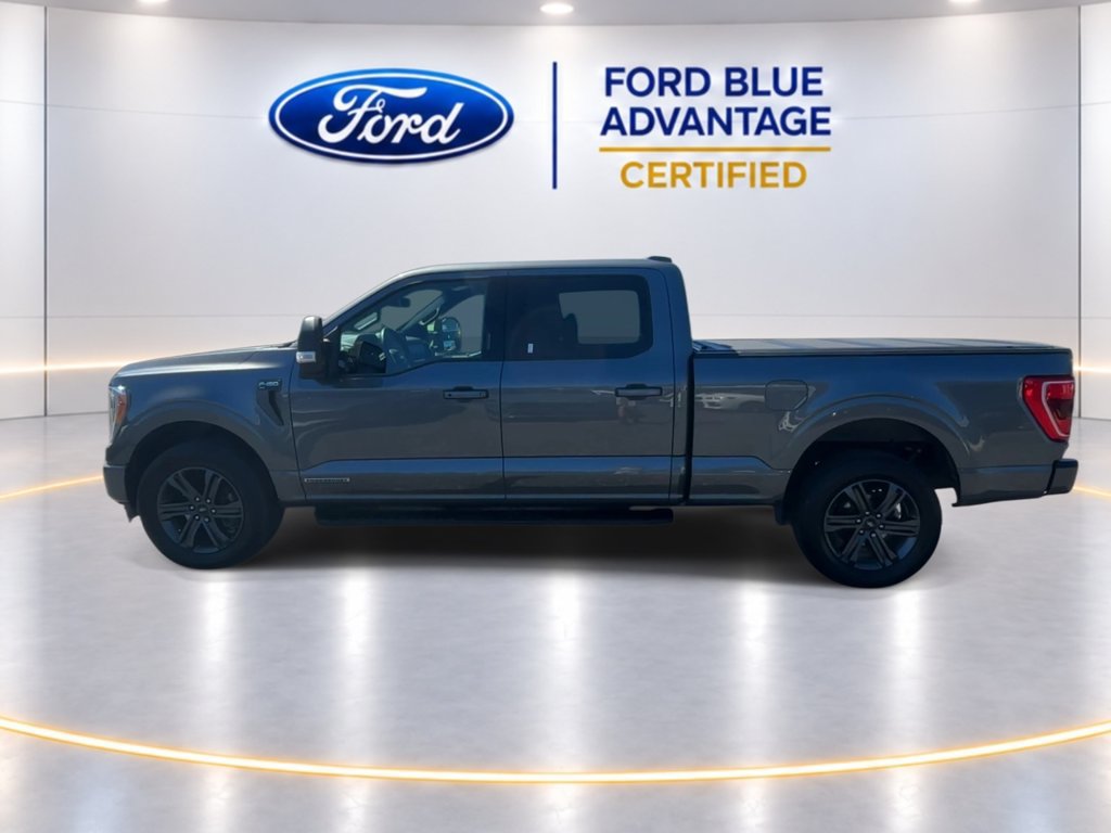 Certified 2023 Ford F150 XLT w/ Equipment Group 302A High AWD/4WD image 5