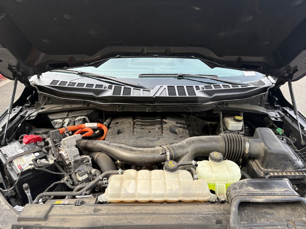Certified 2023 Ford F150 XLT w/ Equipment Group 302A High AWD/4WD image 24
