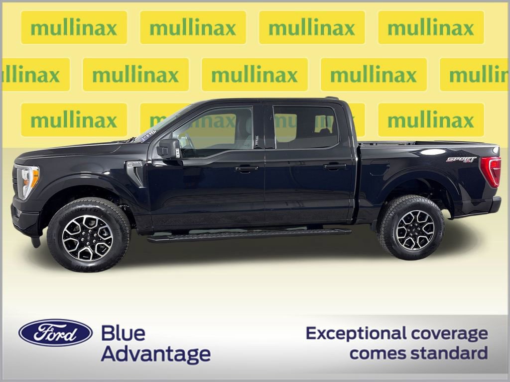 Certified 2023 Ford F150 XLT w/ Equipment Group 302A High video 3