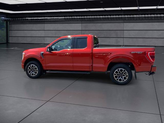 Certified 2023 Ford F150 XLT w/ Equipment Group 302A High AWD/4WD image 10