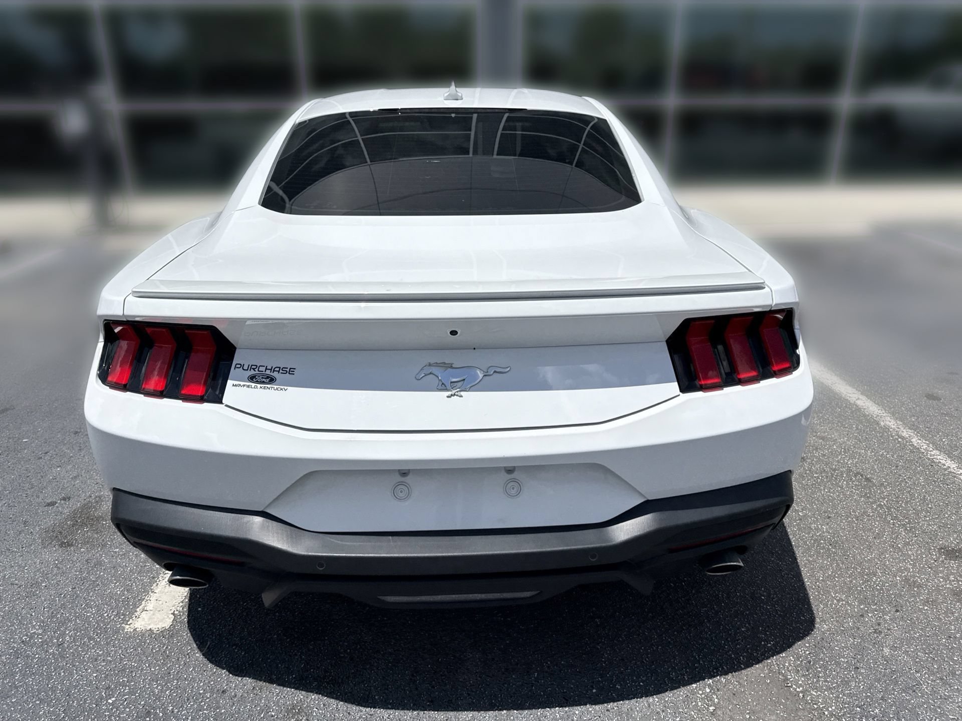 Certified 2024 Ford Mustang Premium RWD image 5